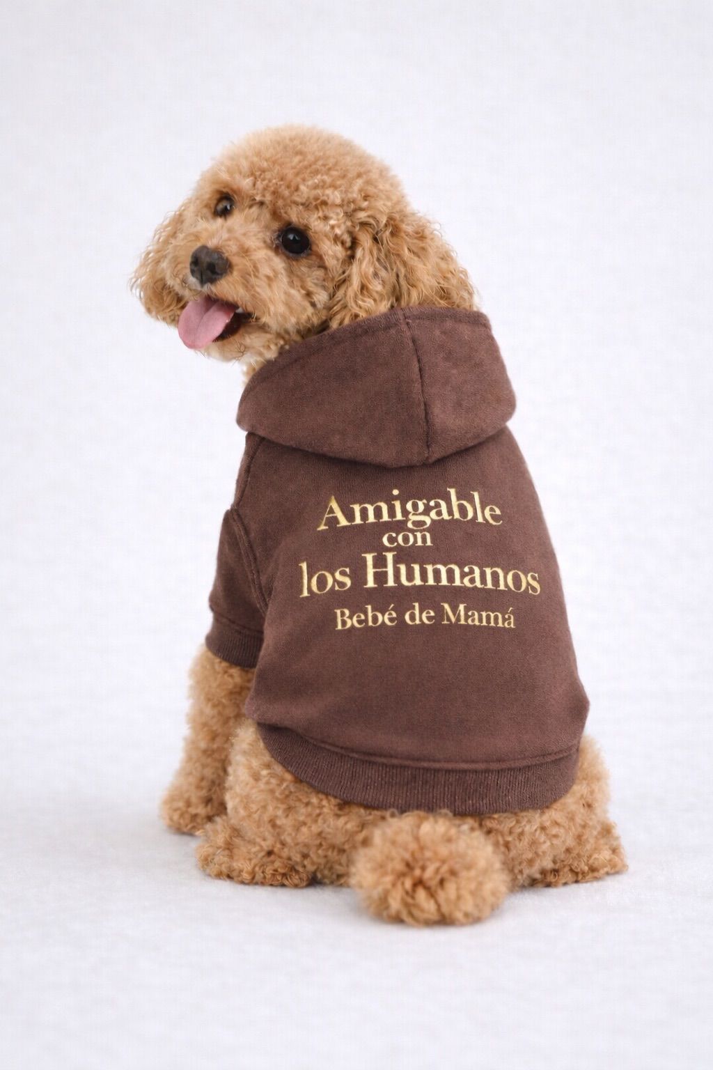 Set "Vínculo Incondicional" - Crewneck & Pet Hoodie