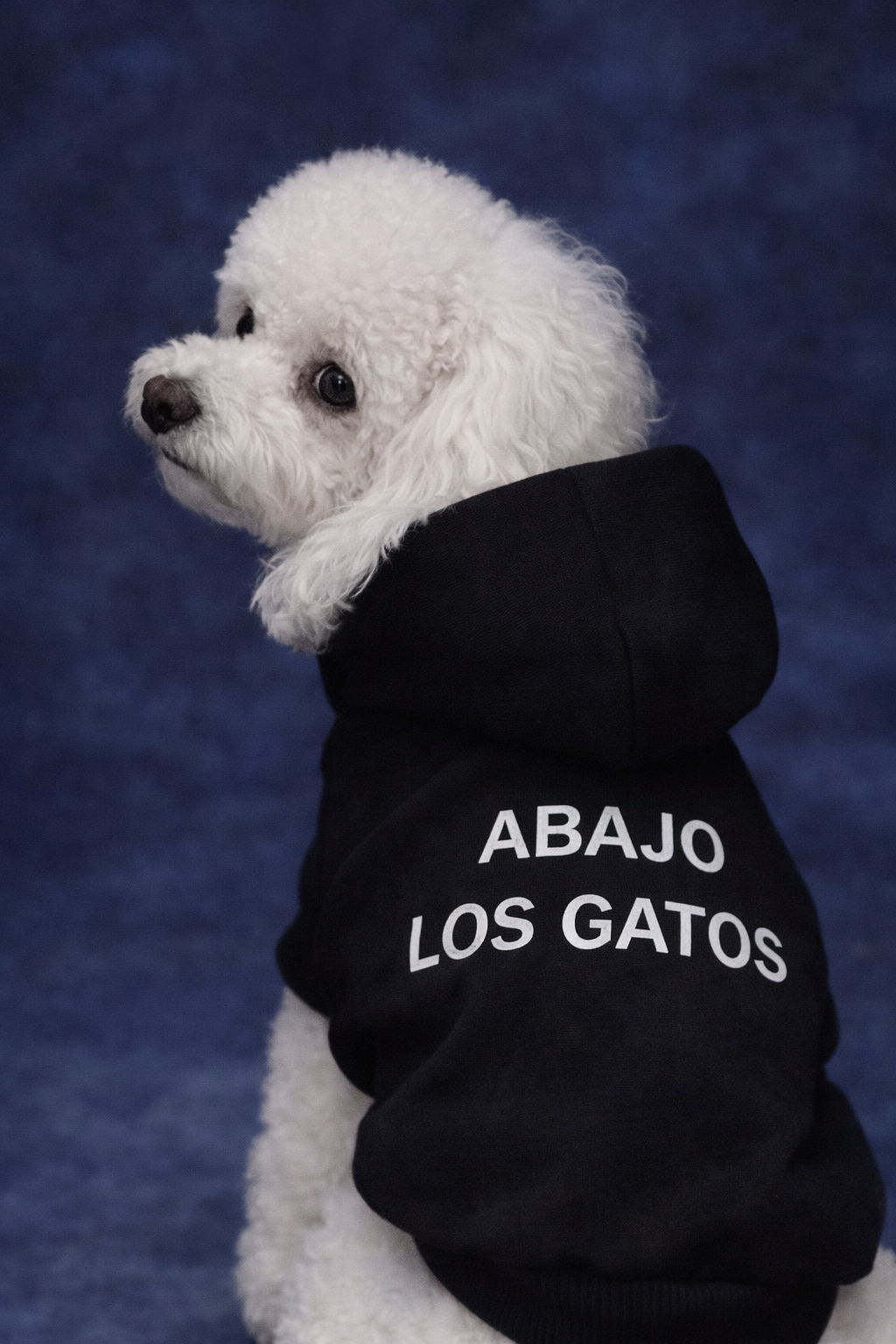Hoodie para Mascota Abajo los Gatos Black Edition | Ind Store Ecuador - Foto 1